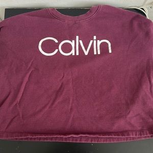 Calvin Klein, Marron/Wine cropped crewneck, worn lightly